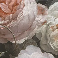 Декор Парк Роз мат, 20x20, арт. MLD/A109/5009