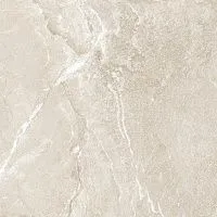 Керамогранит Wild Gold мат 60x60 9,5 мм арт. D60262M