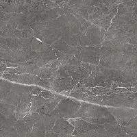 Керамогранит Tulip GT Темно-сер 60x60 8,3 мм арт. GT606012109SPR