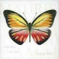 Декор Бабочка А тип 3, 20x20