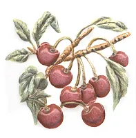 Декор Оранжерея Вишня глянц, 9,9x9,9, арт. TFA008