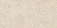 Керамогранит Amsterdam сатин, 57x114 8,5 мм, арт. GFA114ADM40R