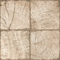 Керамогранит Ringwood Tik Brown мат, 41x41, арт. GP6RIT21
