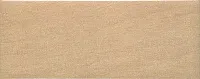 Плитка Globe Miel, 20x50