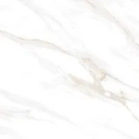 Керамогранит Calacatta Clarity Gold белый мат 60x60 8 мм