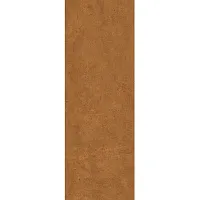 Плитка Resin Orange Rett мат, 35x100, арт. 635.0172.0601