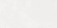 Плитка Evolution blanco обрезной мат 40x80 10 мм арт. 48030R