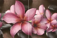 Панно Sauna P4D174 из 4-х шт глянц, 40x60