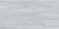Керамогранит Палисандр серый светлый., 30x60, арт. SG210800N