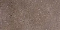 Керамогранит Дайсен Коричневый мат, 30x60 9 мм, арт. (SG211400R)