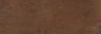 Керамогранит CORTEN мат, 100x300 5,5 мм, арт. DC.MT.CR.NT