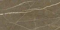 Керамогранит Marmori Пулпис Бронзовый 7 полир, 30x60 10 мм, арт. K947022FLPR1VTE0