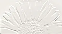Декор Colour White Sunflower глянц, 59,3x32,7