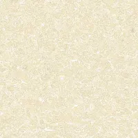 Керамогранит PMR 6608 полир, 60x60