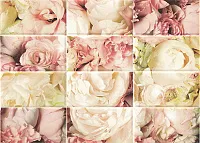 Декор Ocean Spring 2 глянц, 25x35, арт. OC2M012DT