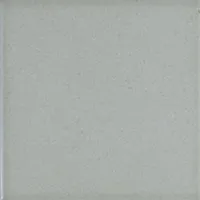 Плитка C&C A9 20 глянц, 20x20