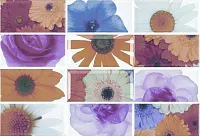 Декор Biselado - 10 Decorado Bocana Комплект декоров из 12 плиток глянц, 10x20