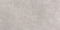 Керамогранит Coral Rock GT Сер мат 30x60 9 мм арт. GT183VG