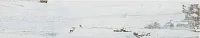 Керамогранит Barents Mix MT Rect мат, 23x120 9,7 мм