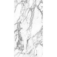 Керамогранит Platinum white PG 11 мат 60x120 9 мм арт. 010400001373