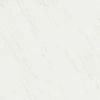 Керамогранит Борсари белый обрезной, 50,2x50,2 9,5 мм, арт. SG453500R