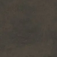 Керамогранит Про Фьюче коричневый обрезной мат, 60x60 9 мм, арт. DD639820R