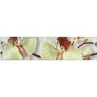 Бордюр Алькора 275222, 6x25