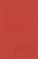 Плитка Minimal Rojo DS71, 25x38