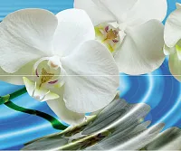 Панно Water Garden А (из 2пл) глянц, 60x50