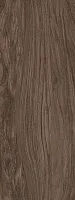 Керамогранит SL Ноче Коричневый мат, 119,5x320, арт. SG072300R6