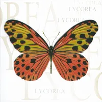 Декор Бабочка Л тип 5, 20x20