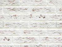 Касавага №0317 Под Кирпич, 5x21