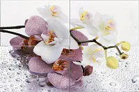 Панно Alba Orchid глянц, 40x60, арт. AL-P-ORC