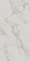 Керамогранит Монте Тиберио серый светлый обрезной мат 119,5x238,5 9 мм арт. SG593120R