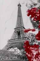 Декор LVP 1 глянц, 20x30