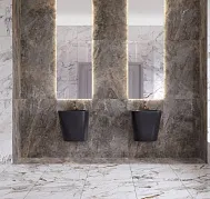 MARBLE-X