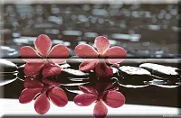 Панно Composicion Wellness Red 02 глянц, 30x45