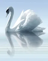 Панно Porto Water and Swan А глянц, 75x60