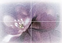 Панно Лила из 4 плиток ПН7ЛЛ1 глянц, 49,8x72,8, арт. PWU07LIL1