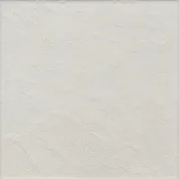 Плитка Gatsby White, 20x20