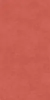 Керамогранит Про Чементо красный обрезной мат 60x119,5 9 мм арт. KM6012G0631R