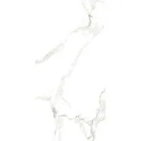 Керамогранит STATUARIO SILK GLOSSY глянц 60x120 9 мм арт. СК000043629