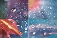 Панно Twilight P4D182 из 4-х шт глянц, 40x60