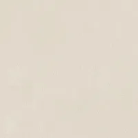 Керамогранит Anti-Slip Argillae Neve Rect мат, 60x60 10,1 мм