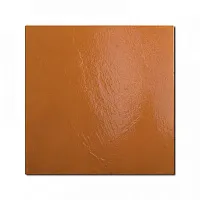 Плитка TANGERINE глянц, 20x20, арт. 25386