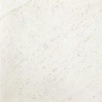 Керамогранит Roma Diamond Carrara Brillante, 60x60, арт. fNES