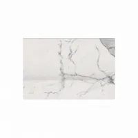 Декор ШАРМ ЭВО СТАТУАРИО АЛЬЦАТА, 20x30 9 мм, арт. 600090000373