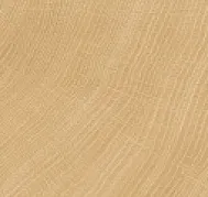 Tree-Ring