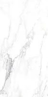 Керамогранит CANOVA ARABESCATO LAP RET мат 60x120 8,5 мм арт. J88516