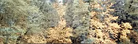 Декор View Decor D, 25,1x75,6
